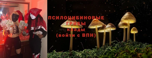 прущие крисы Щёлкино