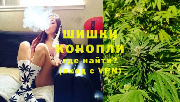 сатива Инта