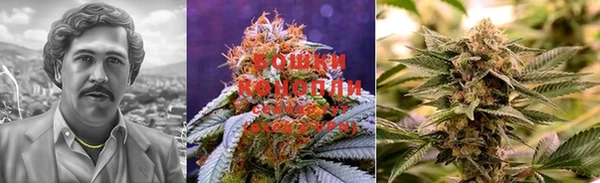 MDMA Инсар