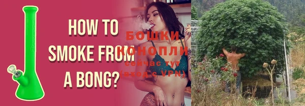 сатива Инта