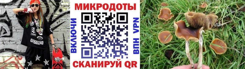 Галлюциногенные грибы мицелий  купить наркотики сайты  Куртамыш 